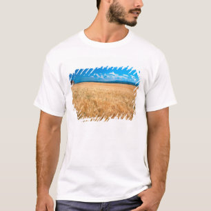 North America, USA, Idaho. Barley field in T-Shirt