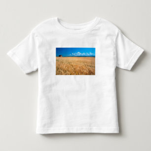 North America, USA, Idaho. Barley field in Toddler T-shirt