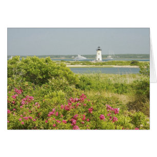 North America, USA, Massachusetts, Martha's