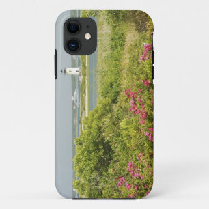 North America, USA, Massachusetts, Martha's iPhone 11 Case