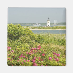 North America, USA, Massachusetts, Martha's Magnet