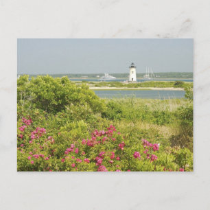 North America, USA, Massachusetts, Martha's Postcard