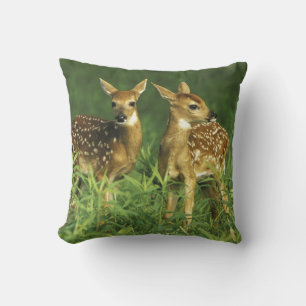 North America, USA, Minnesota. White-tailed 2 Throw Pillow
