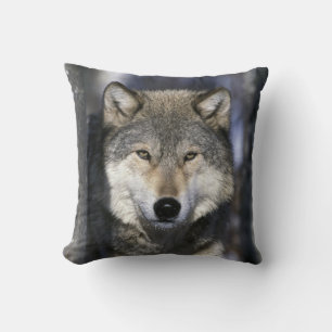 North America, USA, Minnesota. Wolf Canis Throw Pillow