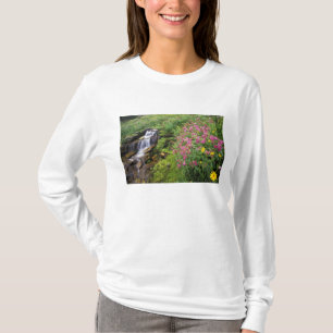 North America, USA, Montana, Glacier National 4 T-Shirt