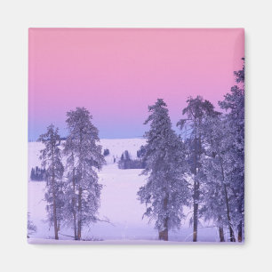North America, USA, Montana, Yellowstone Magnet
