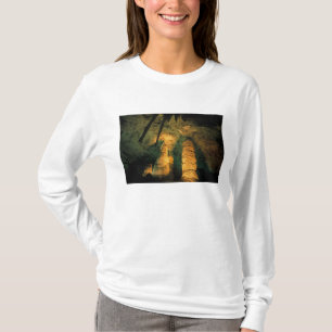 North America, USA, New Mexico, Carlsbad T-Shirt
