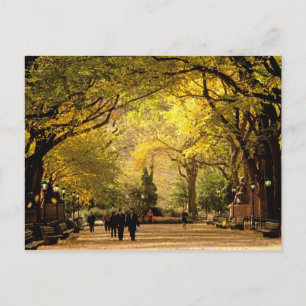 North America, USA, New York, New York City. 12 Postcard