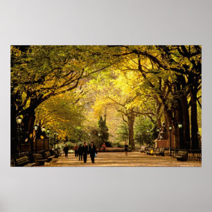 North America, USA, New York, New York City. 12 Poster