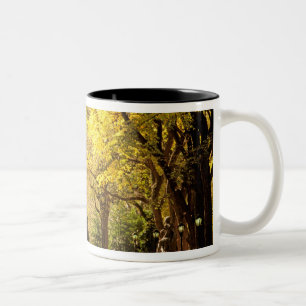 North America, USA, New York, New York City. 12 Two-Tone Coffee Mug