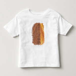 North America, USA, New York, New York City. 5 Toddler T-shirt