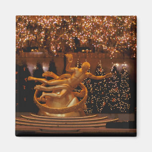 North America, USA, New York, New York City. 6 Magnet