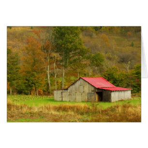 North America, USA, North Carolina, rural
