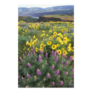 North America, USA, Oregon, Columbia River Photo Print