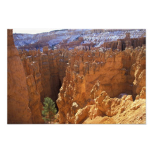 North America, USA, Utah, Bryce Canyon Photo Print