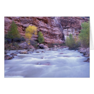 North America, USA, Utah, Zion National Park. 2