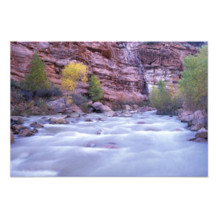 North America, USA, Utah, Zion National Park. Photo Print