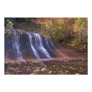 North America, USA, Utah, Zion National Park. Photo Print