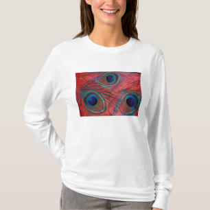 North America, USA, WA, Redmond, Peacock T-Shirt