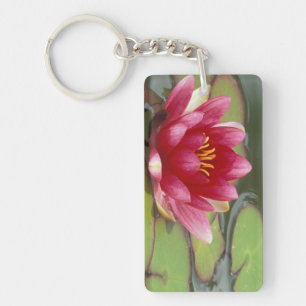 North America, USA, WA, Seattle, Woodland Park 2 Keychain
