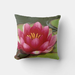 North America, USA, WA, Seattle, Woodland Park 2 Throw Pillow