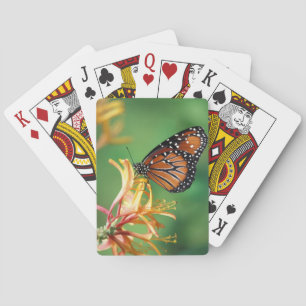 North America, USA, WA, Seattle, Woodland Park Playing Cards