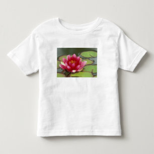 North America, USA, WA, Seattle, Woodland Park Toddler T-shirt