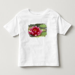 North America, USA, WA, Seattle, Woodland Park Toddler T-shirt