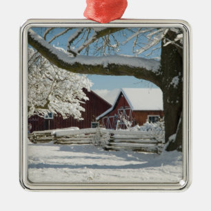North America, USA, WA, Whidbey Island. 2 Metal Ornament