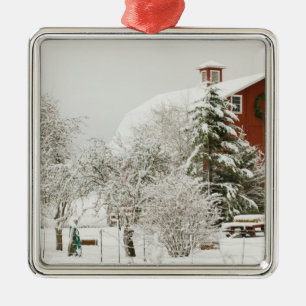 North America, USA, WA, Whidbey Island. Metal Ornament
