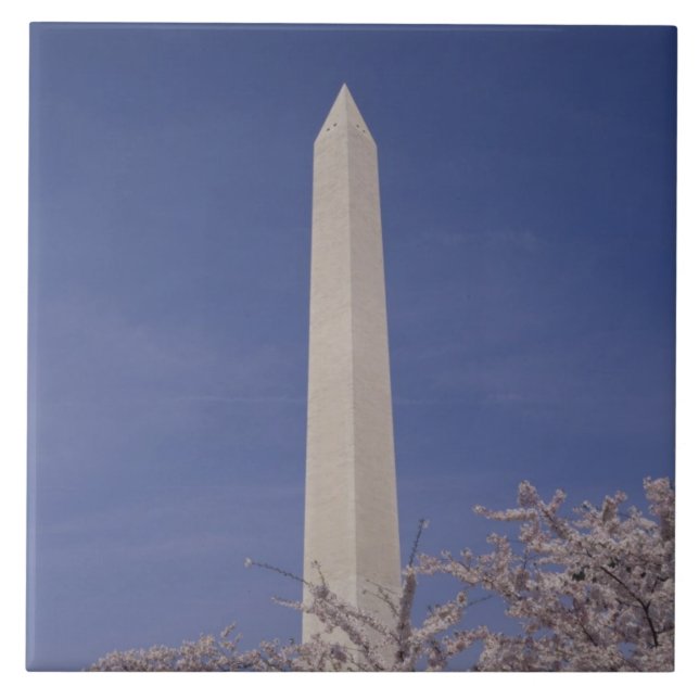 North America, USA, Washington D.C.. Washington Tile (Front)