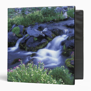 North America, USA, Washington, Mt. Rainier 3 Binder