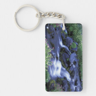 North America, USA, Washington, Mt. Rainier 3 Keychain