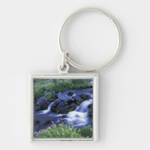North America, USA, Washington, Mt. Rainier 3 Keychain