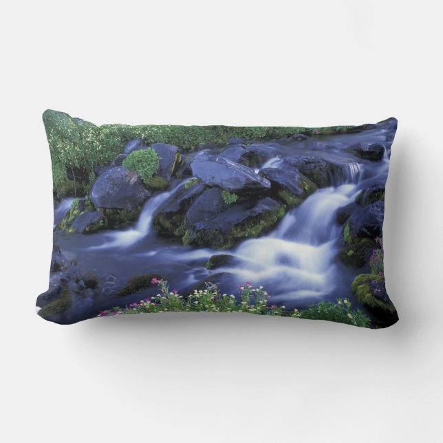 North America, USA, Washington, Mt. Rainier 3 Lumbar Pillow (Front)