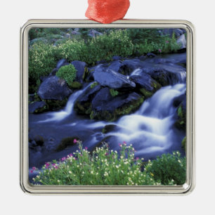 North America, USA, Washington, Mt. Rainier 3 Metal Ornament