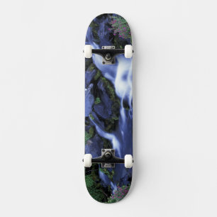 North America, USA, Washington, Mt. Rainier 3 Skateboard