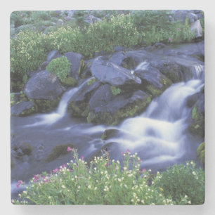 North America, USA, Washington, Mt. Rainier 3 Stone Coaster