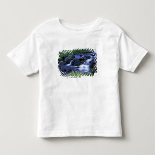 North America, USA, Washington, Mt. Rainier 3 Toddler T-shirt