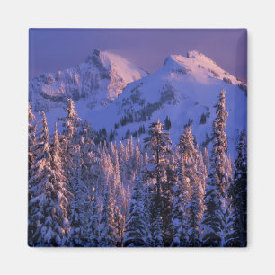 North America, USA, Washington, Mt. Rainier 4 Magnet