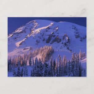 North America, USA, Washington, Mt. Rainier 5 Postcard