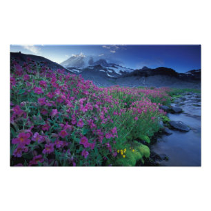 North America, USA, Washington, Mt. Rainier 6 Photo Print