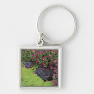 North America, USA, Washington, Mt. Rainier Keychain