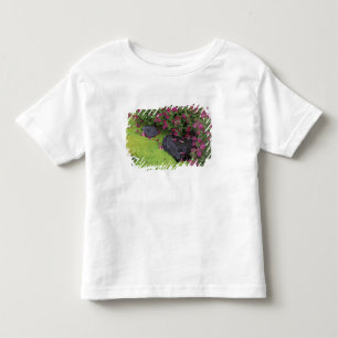 North America, USA, Washington, Mt. Rainier Toddler T-shirt
