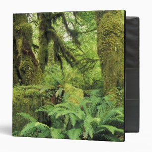 North America, USA, Washington, Olympic 3 Binder