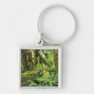 North America, USA, Washington, Olympic 3 Keychain