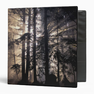 North America, USA, Washington, Olympic NF, Binder