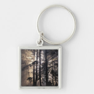 North America, USA, Washington, Olympic NF, Keychain
