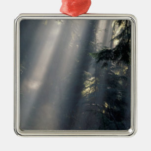 North America, USA, Washington, Olympic NP, Metal Ornament