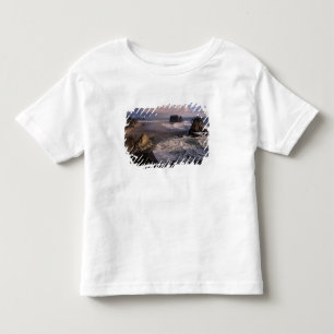 North America, USA, Washington, Olympic NP, Toddler T-shirt